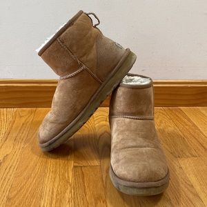Classic mini chestnut Uggs